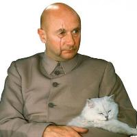 Pursuits: I am thrilled by the return of Blofeld