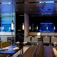 I went to four new restaurants in Bombay and was impressed by the standard of food