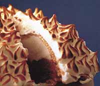Hot and cold: the making of the Baked Alaska