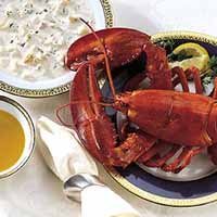 Eat Lobster either with just a little garlic mayonnaise or with hollandaise