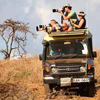 I WENT ON SAFARI: In the southern African bush