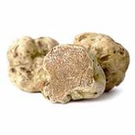 Truffles are still rare and expensive