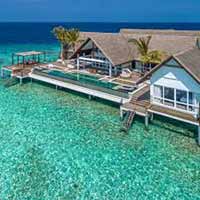 The wellness experience